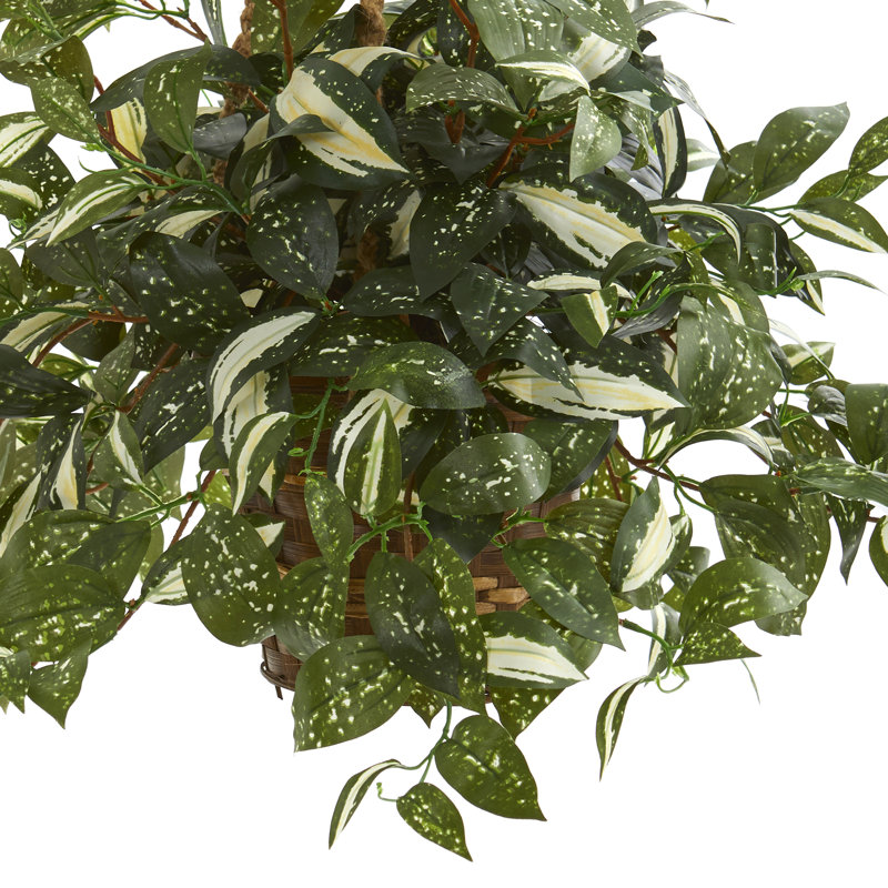 Plante ivy artificielle 26" en panier