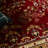 Klose Performance Oriental Rug-19261250