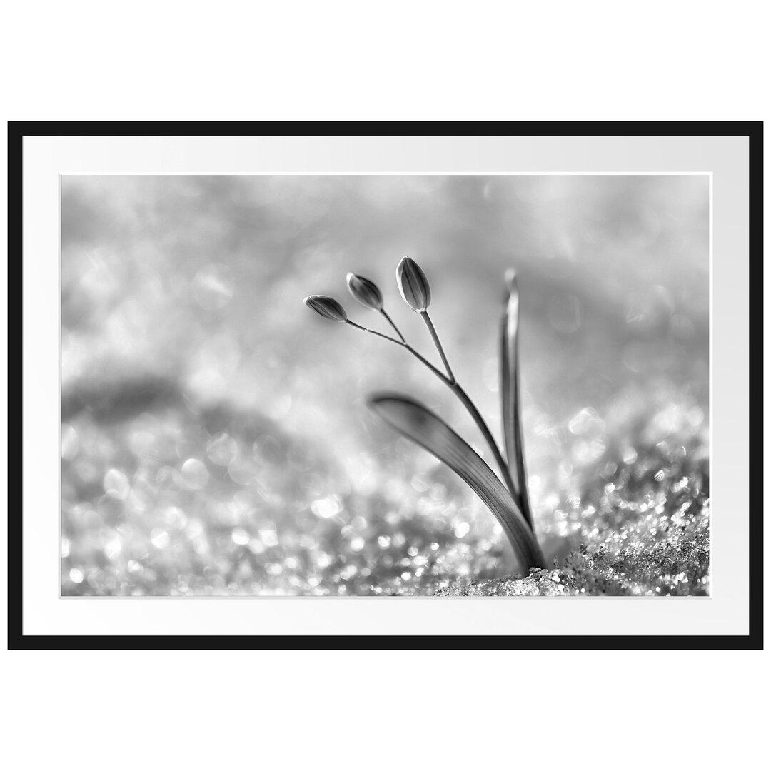 Gerahmtes Poster Blaue Knospen im Schnee