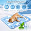 Pet Bed