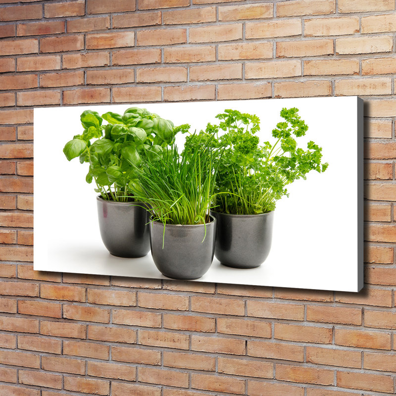 Herbs In Pots - Wrapped Canvas Print
