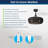 Ayane 12'' Ceiling Fan with Light Kit-1134834006-1134834004
