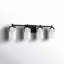 Irela 4-Light Vanity Light in Black-918299684-918299683-877385032