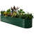 British Green