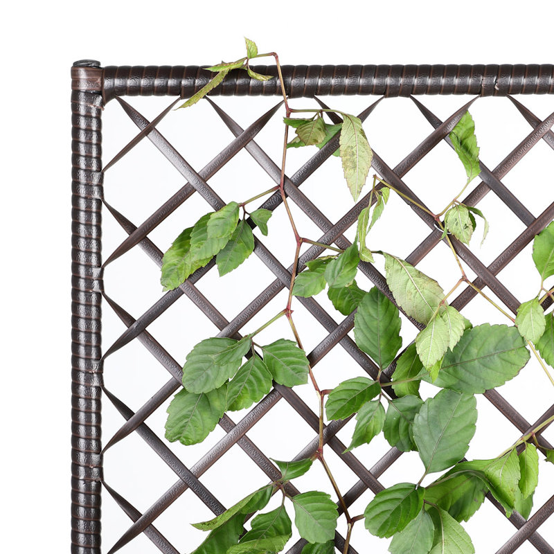 Baxlee Pot Planter, Brown