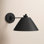 Schaller Single Light Dimmable Swing Arm Sconce