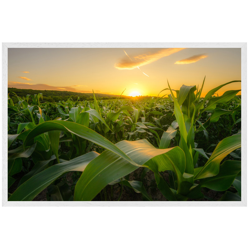 Herminie Single Picture Frame Wall Art, 76cm H x 114cm W x 4cm D, White Framed