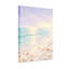 Plantes et fleurs Vagues de plage Coquillages Ciel Oiseaux Coucher de soleil Horizon Paix-2109220005
