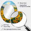 Miroir mural Vangogh-497139702