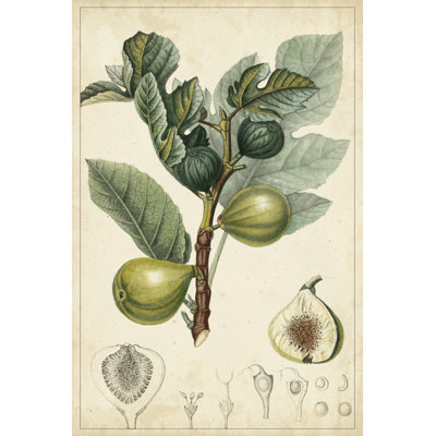 Exotic Fruits I by Turpin - Wrapped Canvas Print