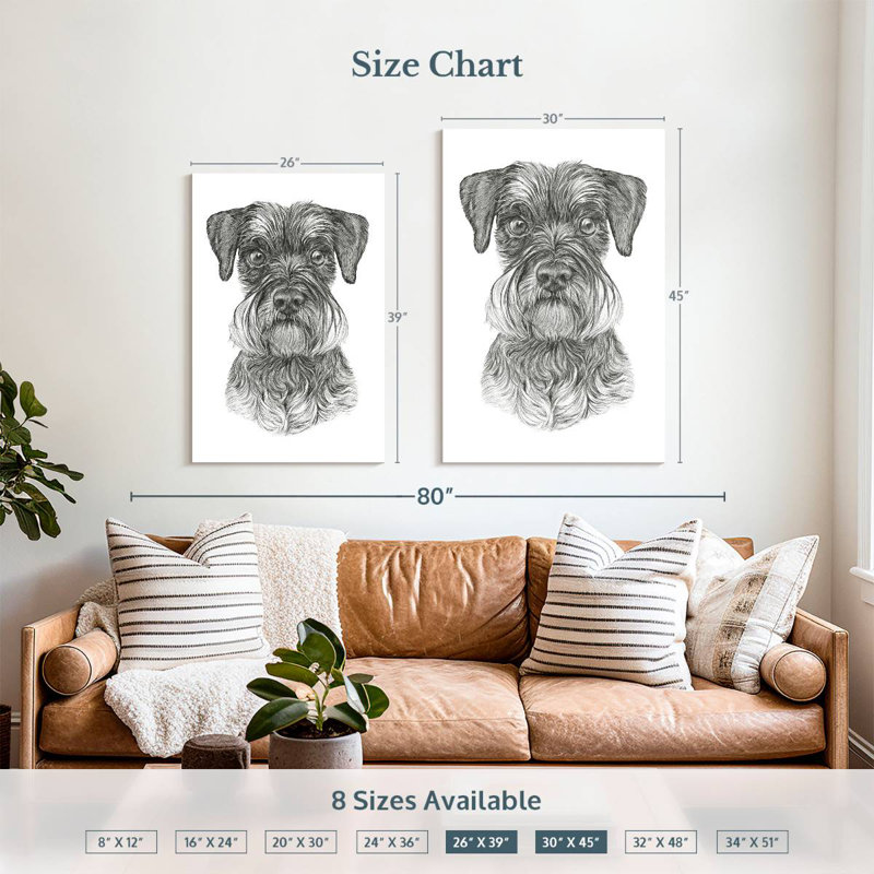 Schnauzer Brampt, H 39 po x l 26 po