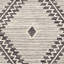Tapis noir / crème en coton / laine tissé à la main Aristaeus Southwestern-1054674348