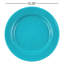 Stinson Enamelware Dinner Plate-868378543