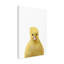 Canard sur toile-2073309675