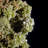 Pyromorphite Crystal Cluster. Daoping Mine