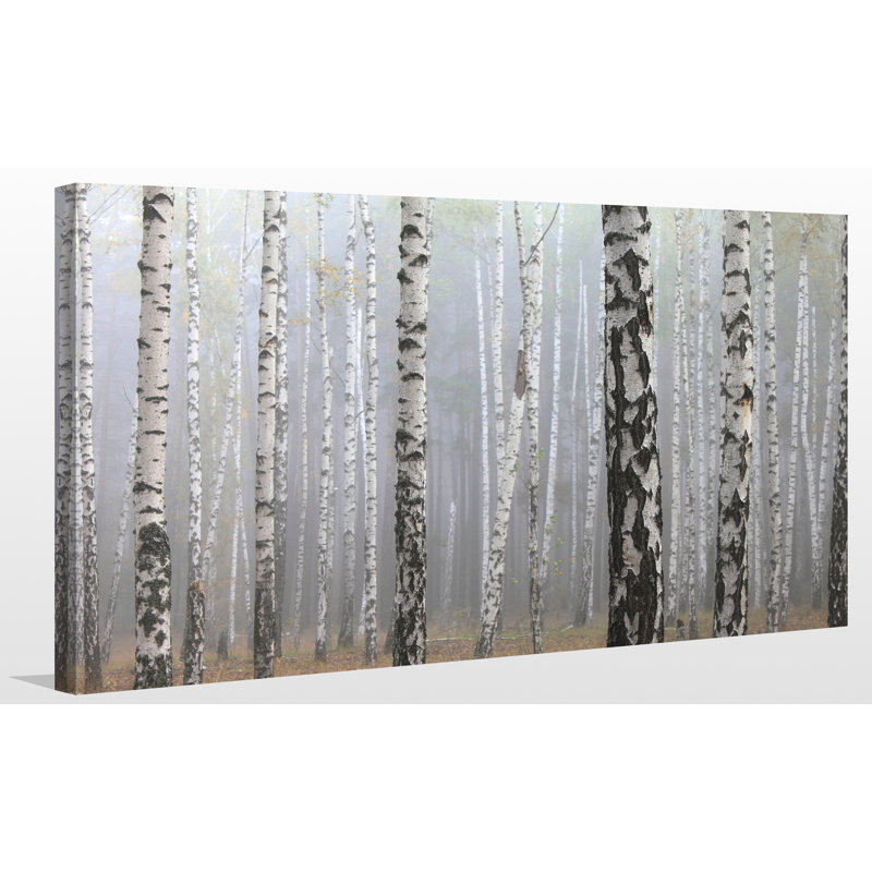 « birchinging environ iii », impression sur toile tendue, H 36 po x l 60 po x P 1,5 po