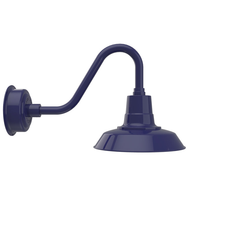 Luminaire de grange d'extérieur à DEL Haleigh, H 14,03 po x l 12 po x p 22,25 po, Bleu de cobalt