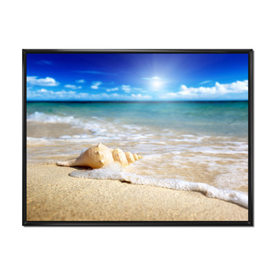 Grand coquillage dans le sable II - photographie sur toile