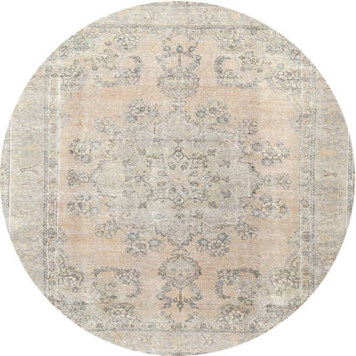 Oriental Indoor Rug