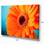 « orange marguerite gerbera », reproduction de photo sur toile tendue-33322700-19240196