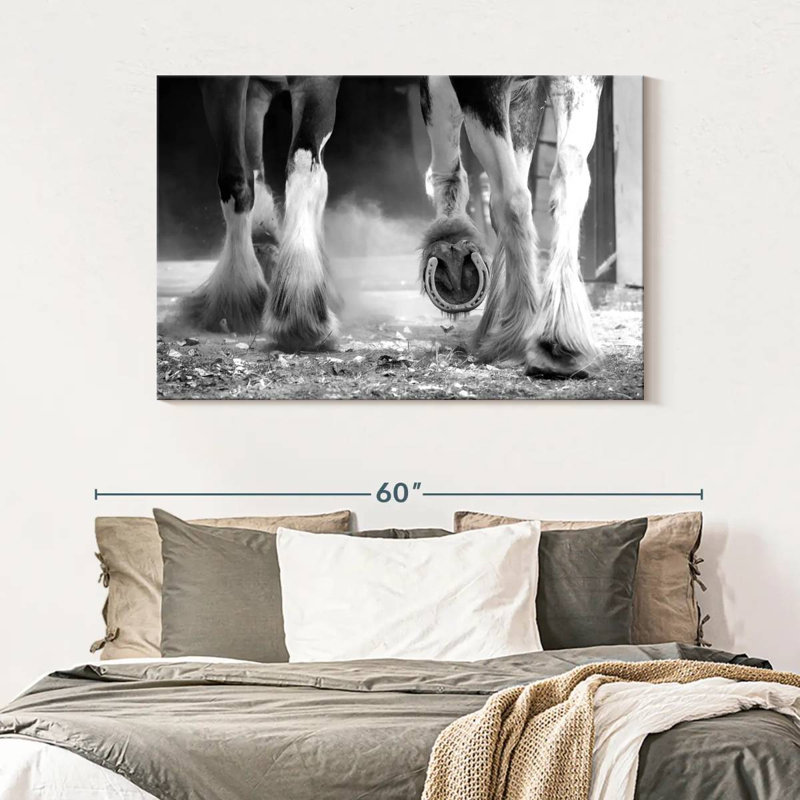 Brampt Clydesdale Horse Legs