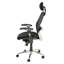 Symple Stuff Mesh Office Chair with Headrest