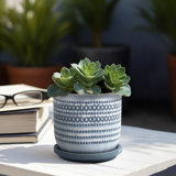 Contemporary Dotted Ceramic Planter with Saucer