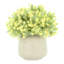 Sedum Bush dans un vase Fiberstone