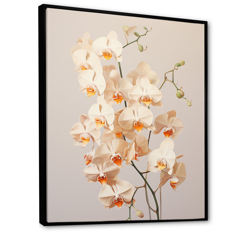 Orchidées beiges tranquillité V, H 32 po x l 24 po x P 1 po, Cadre flottant noir