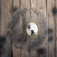 Hephzibah Round Mirror