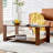 Bonni Rectangular Coffee Table with Storage Shelf-209399225-247921393