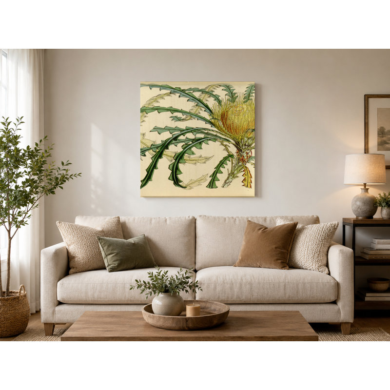 Art mural Dryandra nilis - Plate 4633