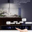 Aquarium filtré écologique ultra-transparent