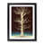 Black Framed Paper is unavailable