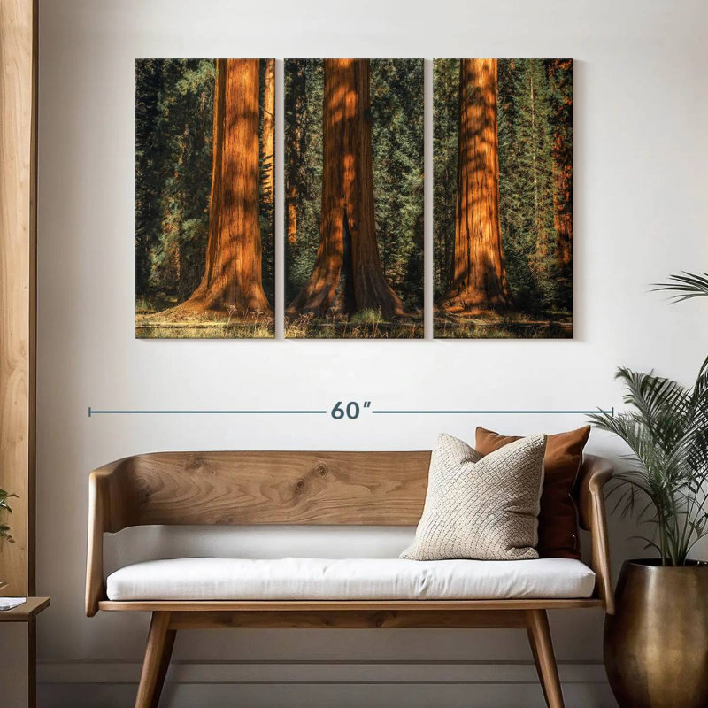 Arbres anciens du parc Harnek Sequoia, H 32 po x l 50 po