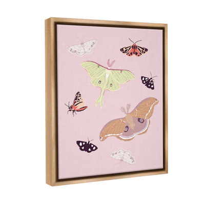 " Varied Moth Pattern "