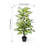 47 " H Faux Foliage Plant