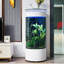 Aquarium 40-45 gallons-284322861-284322863