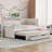 Upholstered Daybed With Trundle And Three Drawers-966682072-966682071
