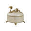Hammer Shell Decorative Box