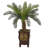 36'' Faux Foliage Tree in Wood Planter