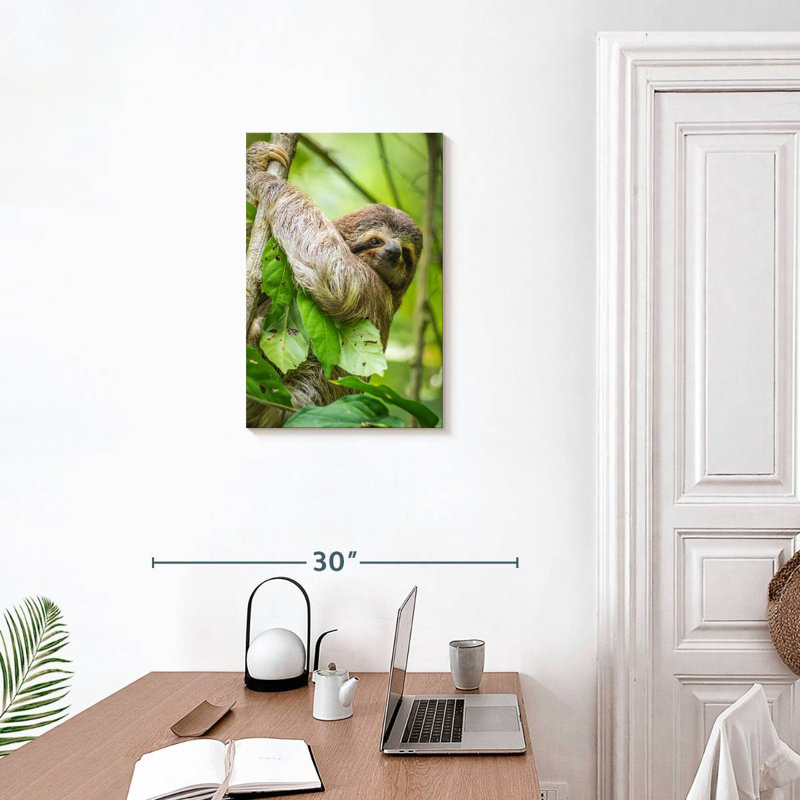 Brampt Baby Three-Toed Sloth, 24" H x 16" W