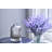 Plug-in Essential Oil Diffusers