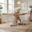 Hofman Modern Dining Chairs with Plastic Seats
