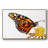" Wings I "-92482676-92482675