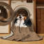  Tapis lavable pour chien Lancashire Heeler-1002578783