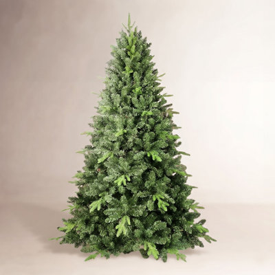 Spruce Christmas Tree