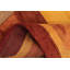 Tapis chaleureux de style Gabbeh 5 x 7 dans des tons terreux pour des intérieurs confortables