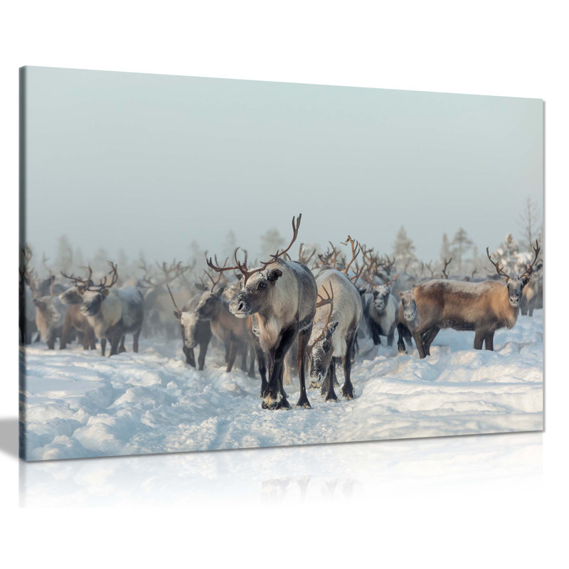 Panther Print Fine Art Prints Reindeers In Winter Snow Artistic Framed Canvas Prints, Pictures For Home Walls, Bedroom, Living Room & Bathroom Decor - Wrapped Canvas Art Prints