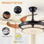 Kymiere 18.1'' Ceiling Fan with LED Lights
